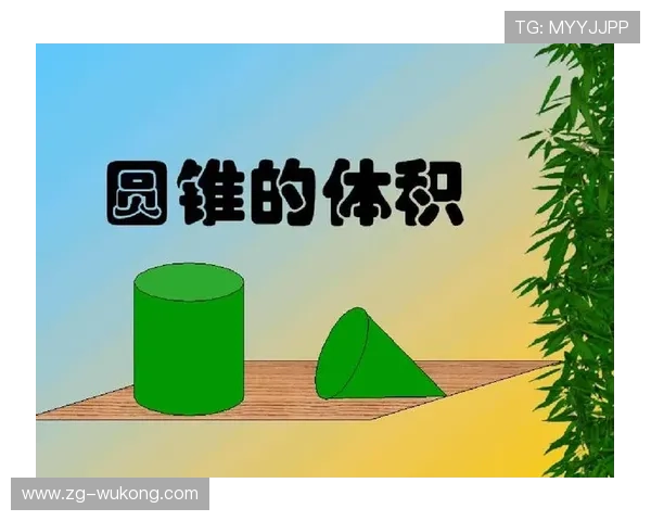 深入解析篮球圆柱体原则的含义与判定标准