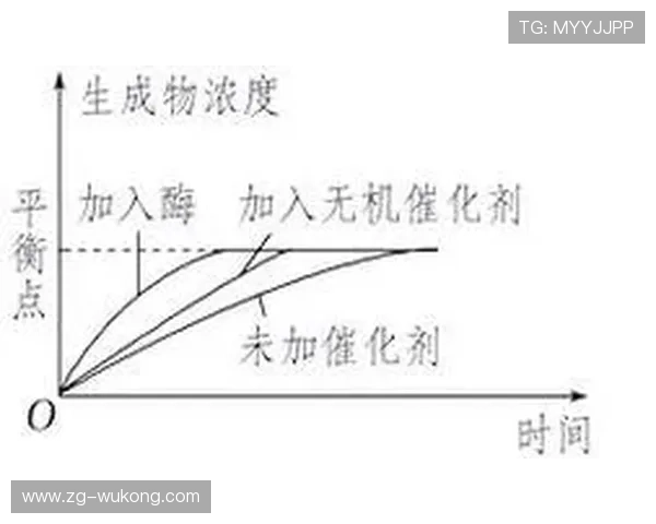 暂停时间限制：规则解析与实际应用中的关键要点