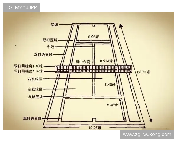 边线规则详解：球出界如何判定与发球位置选择