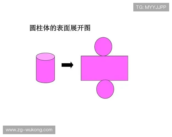 防守圆柱体扩展的最新规则变动，如何影响赛场判罚？